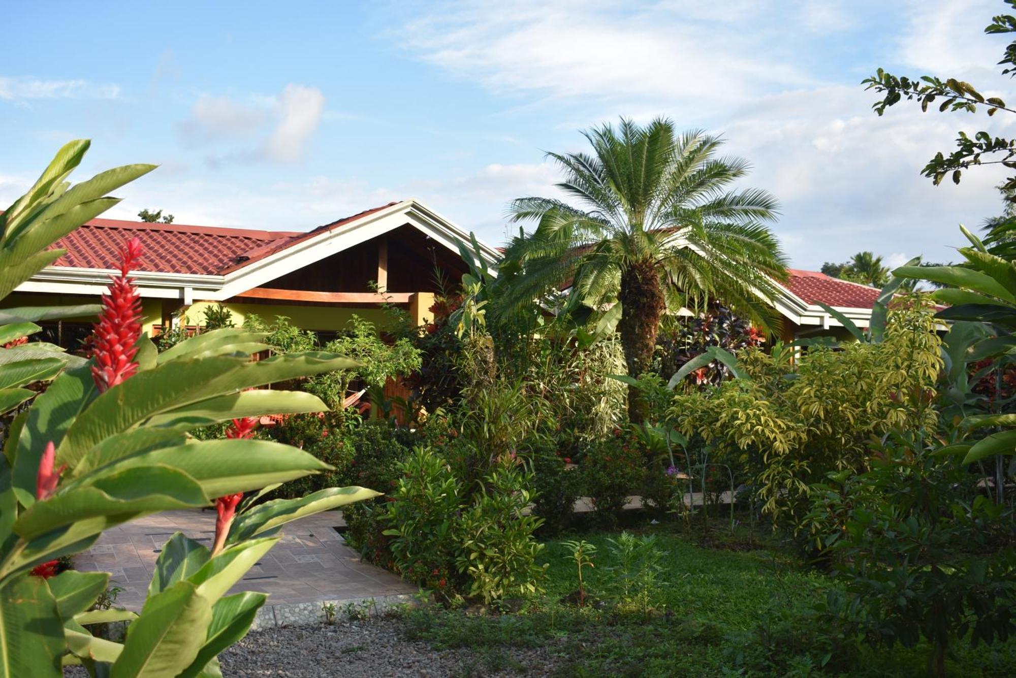 Hotel Roca Negra Del Arenal La Fortuna Rom bilde