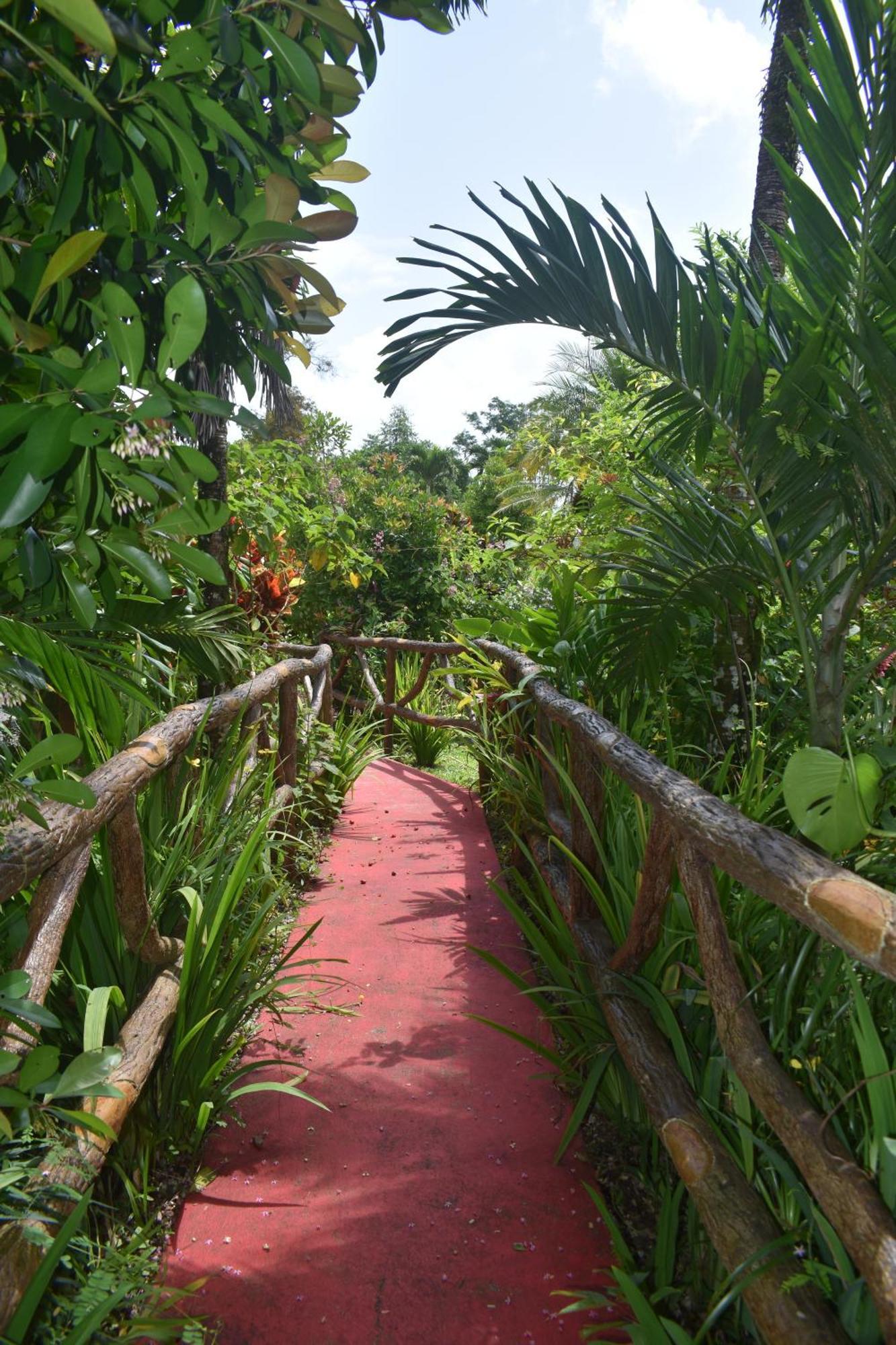 Hotel Roca Negra Del Arenal La Fortuna Eksteriør bilde