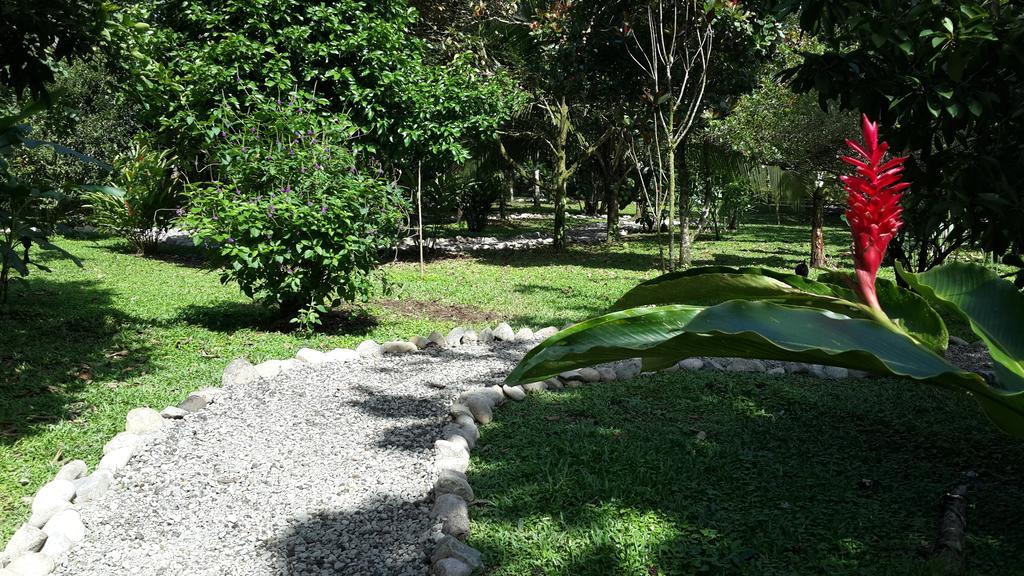 Hotel Roca Negra Del Arenal La Fortuna Eksteriør bilde