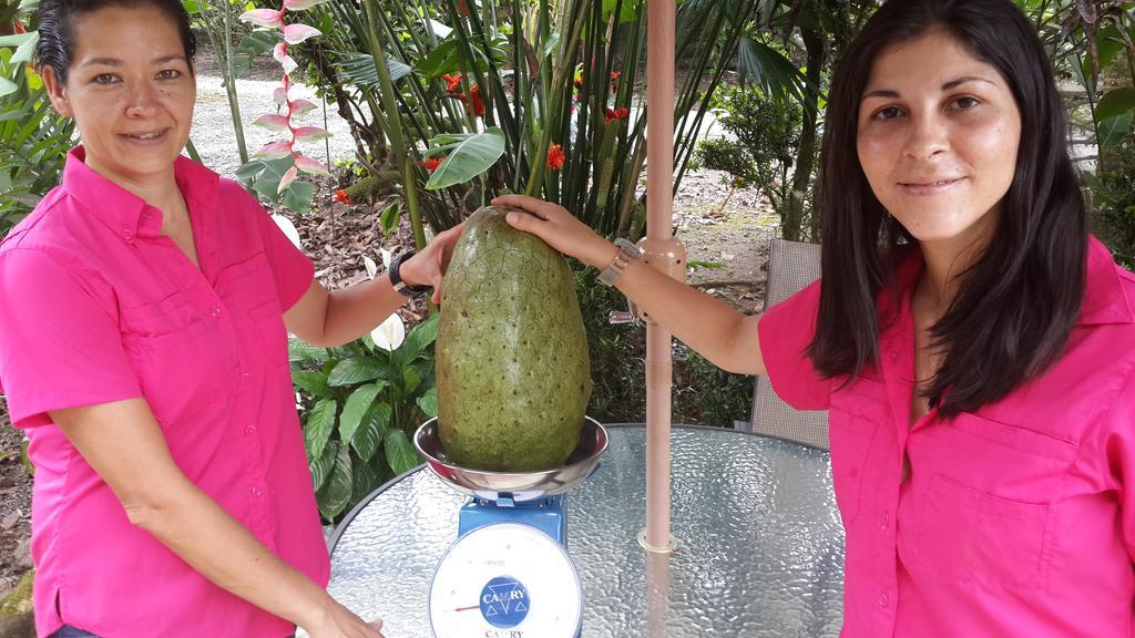 Hotel Roca Negra Del Arenal La Fortuna Eksteriør bilde