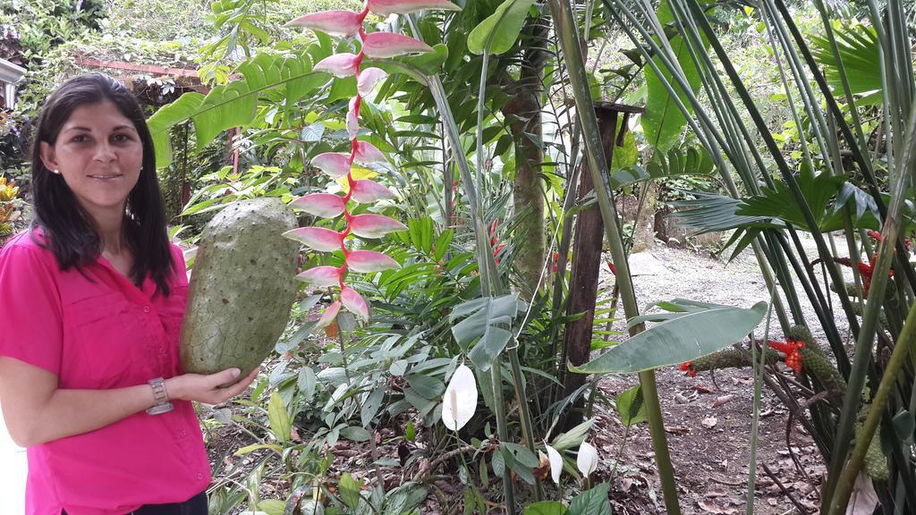Hotel Roca Negra Del Arenal La Fortuna Eksteriør bilde