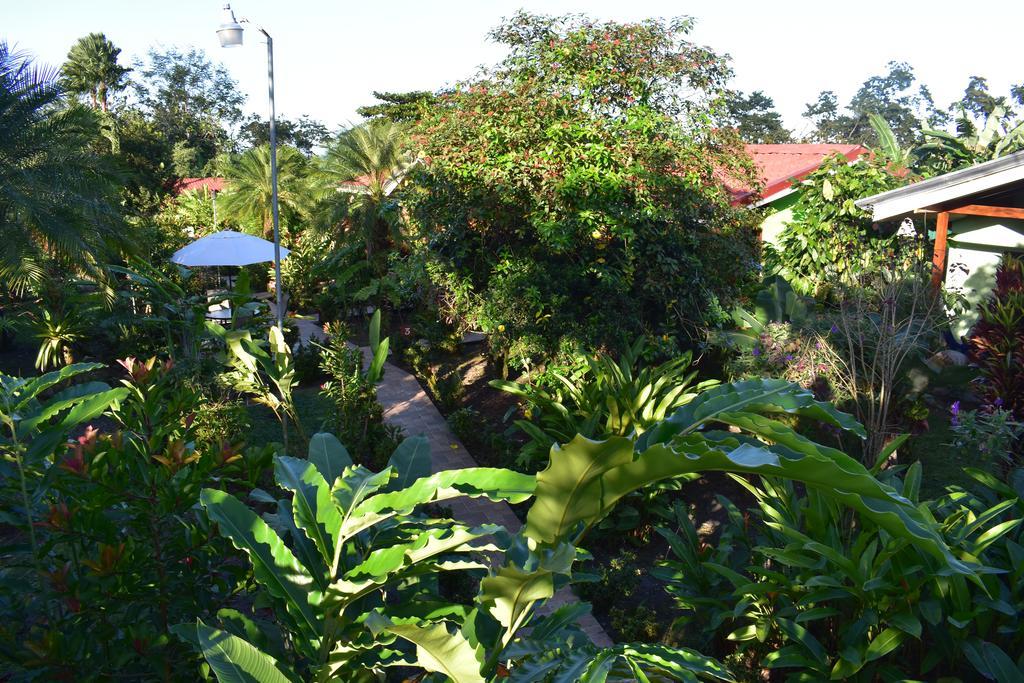 Hotel Roca Negra Del Arenal La Fortuna Eksteriør bilde